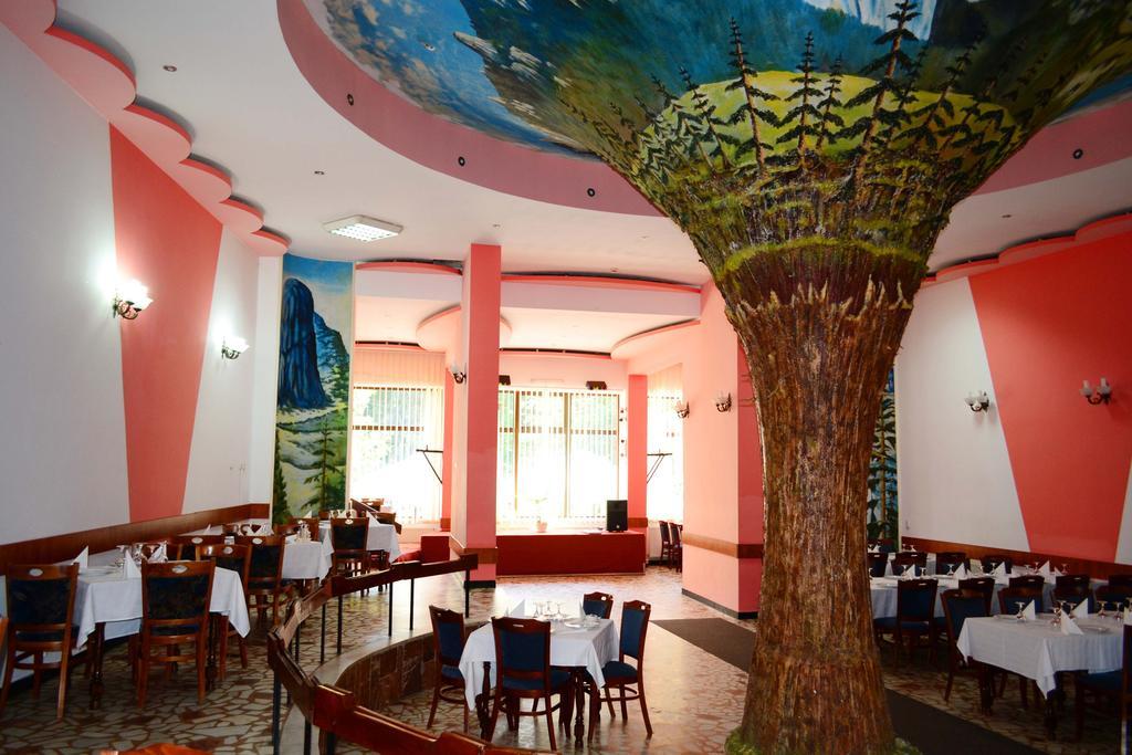 Hotel Bradul Durau Exterior foto
